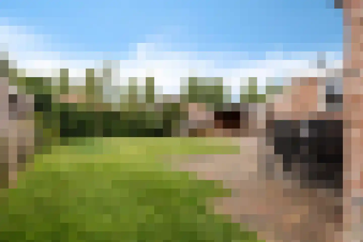 Lisdodde 76 Nieuw-Buinen thumbnail 27