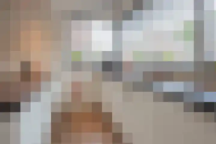 Lisdodde 8 America thumbnail 13