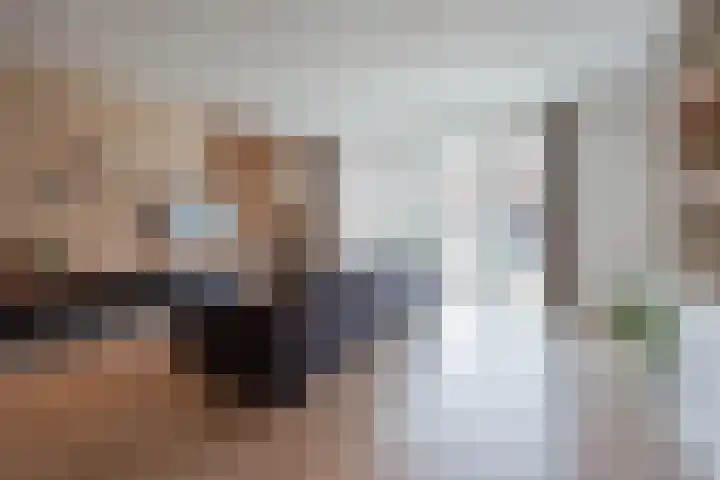 Lisdodde 8 America thumbnail 17