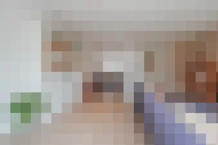 Lisdodde 8 America thumbnail 20