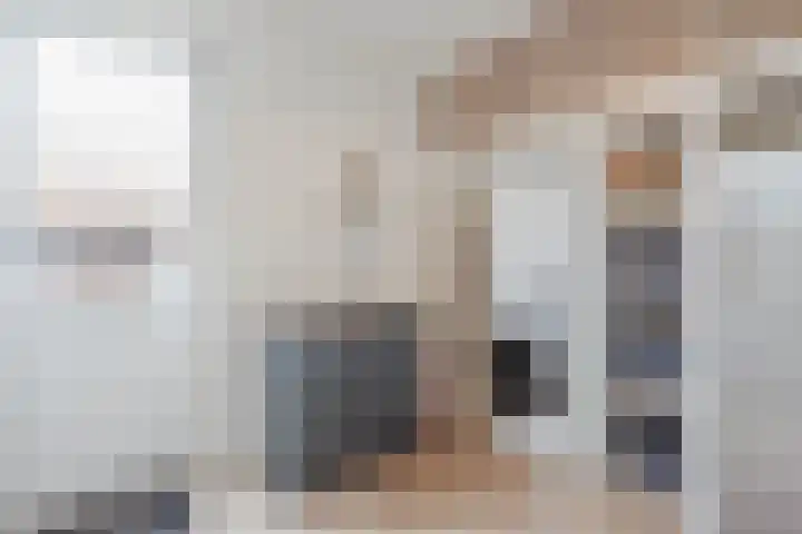 Lisdodde 8 America thumbnail 22