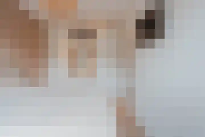 Lisdodde 8 America thumbnail 28