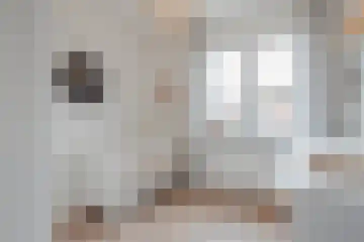 Lisdodde 8 America thumbnail 31