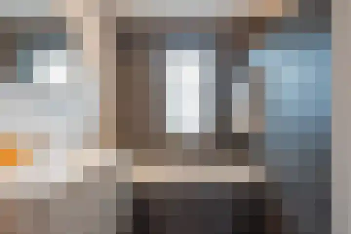 Lisdodde 8 America thumbnail 34