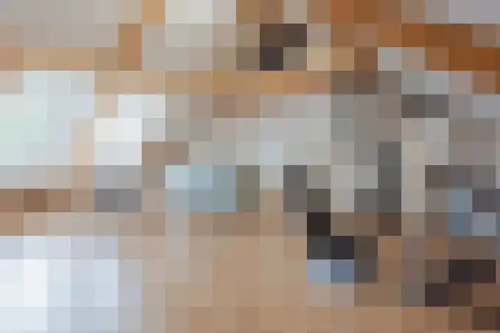 Lisdodde 8 America thumbnail 36