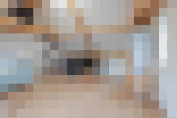 Lisdodde 8 America thumbnail 37