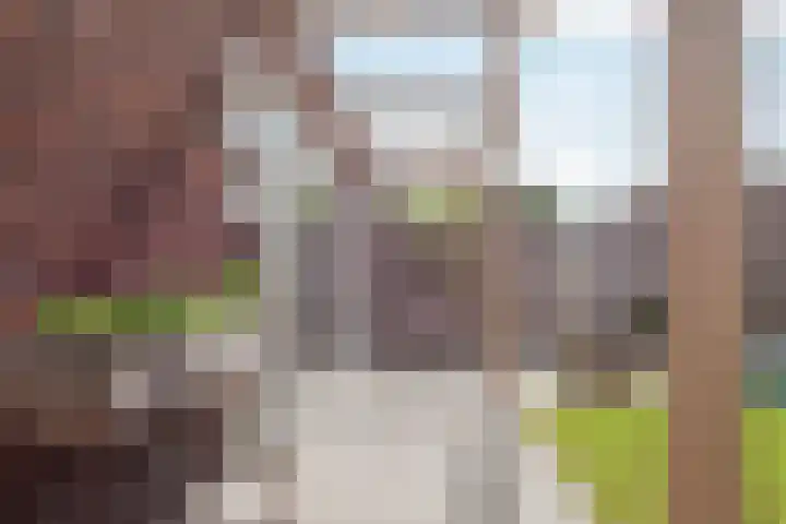 Lisdodde 8 America thumbnail 39