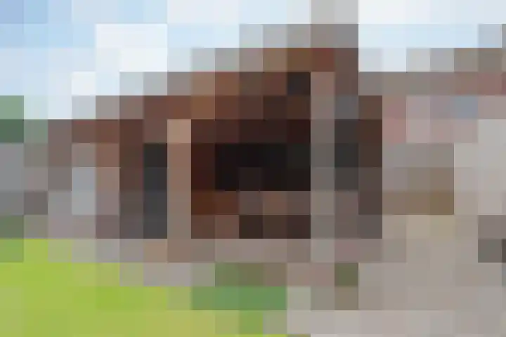 Lisdodde 8 America thumbnail 41