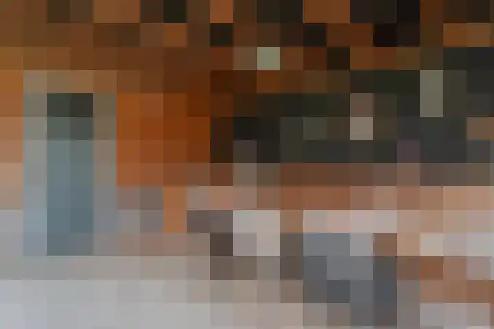 Lisdodde 8 America thumbnail 42