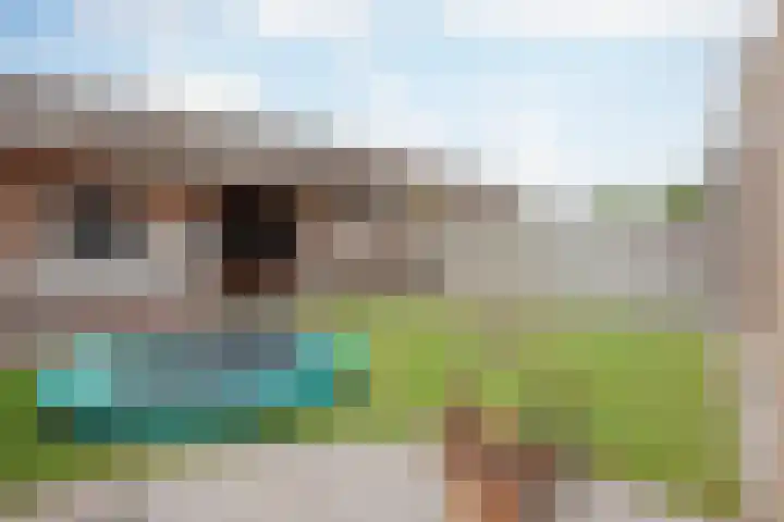 Lisdodde 8 America thumbnail 43
