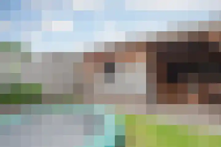 Lisdodde 8 America thumbnail 44