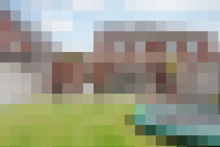 Lisdodde 8 America thumbnail 45