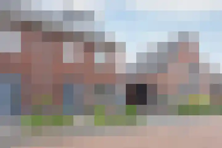 Lisdodde 8 America thumbnail 46