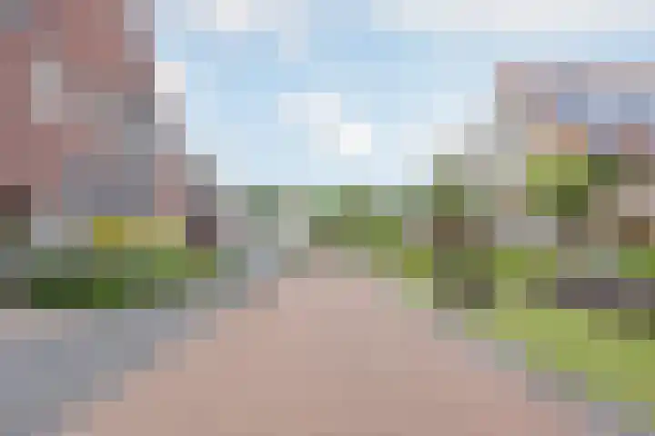 Lisdodde 8 America thumbnail 48