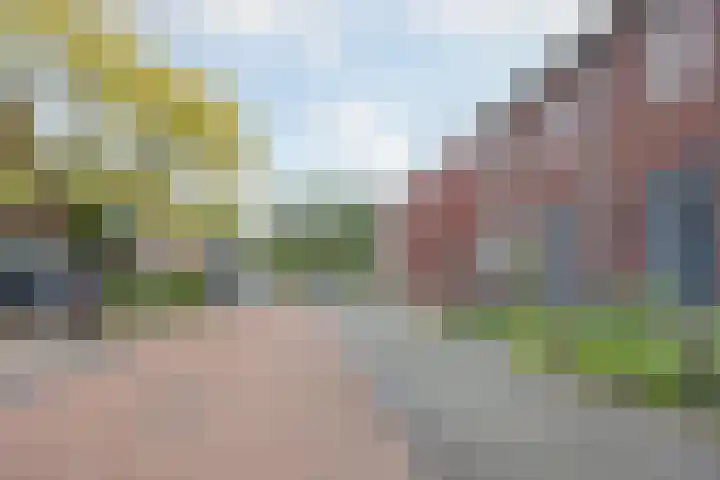 Lisdodde 8 America thumbnail 49