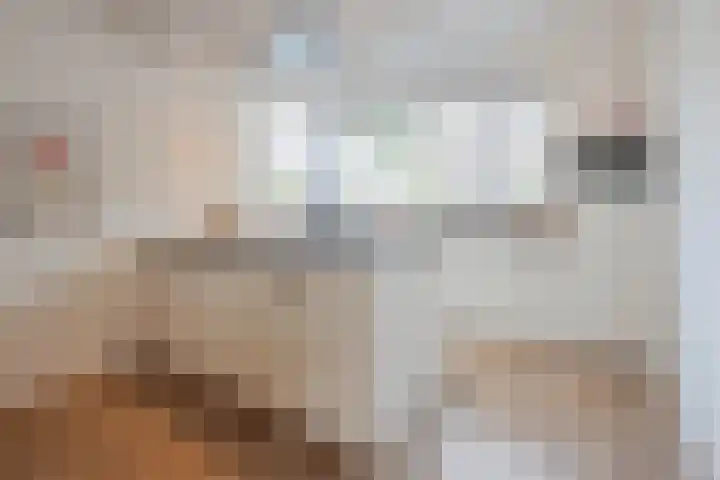 Lisdodde 8 America thumbnail 5