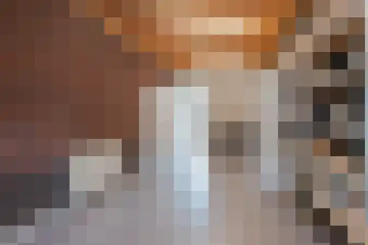 Lisdodde 8 America thumbnail 6