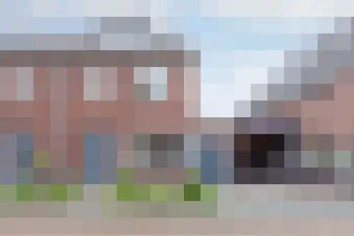 Lisdodde 8 America thumbnail 7