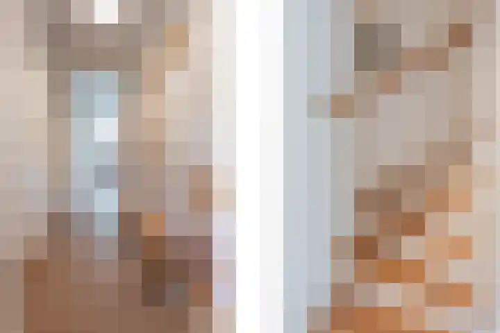Lisdodde 8 America thumbnail 9