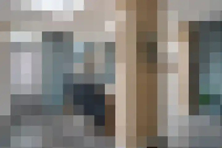 Lisdodde 8 Venray thumbnail 12