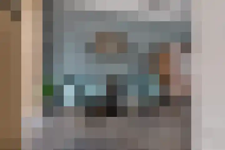 Lisdodde 8 Venray thumbnail 13