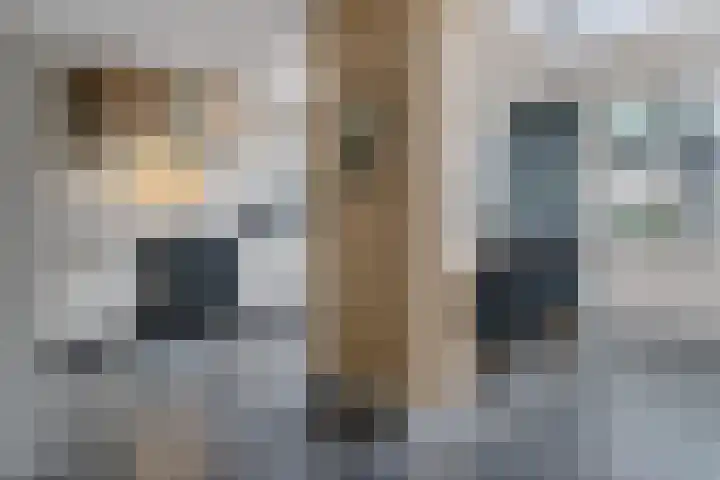 Lisdodde 8 Venray thumbnail 14