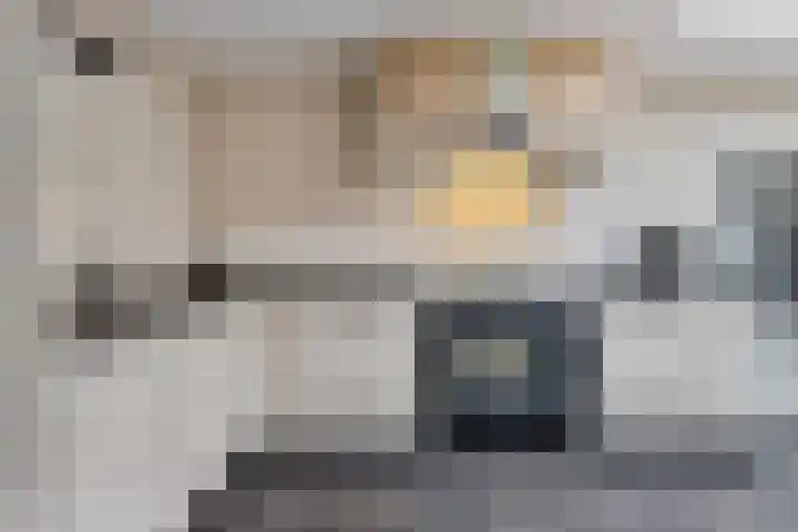 Lisdodde 8 Venray thumbnail 15