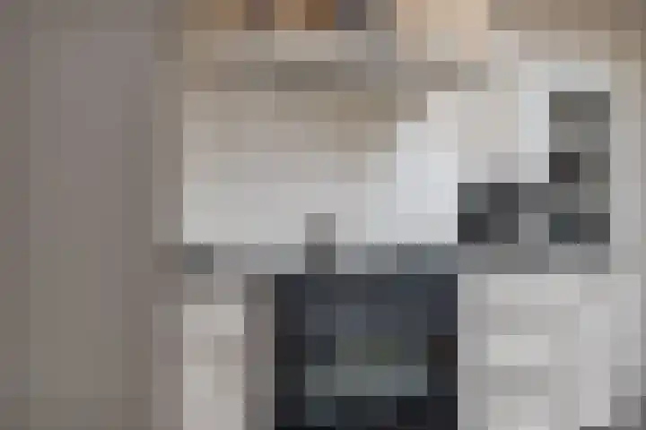 Lisdodde 8 Venray thumbnail 17