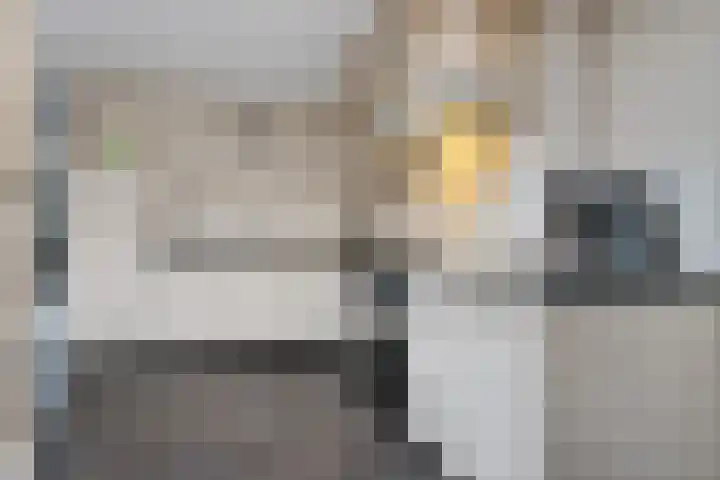 Lisdodde 8 Venray thumbnail 18