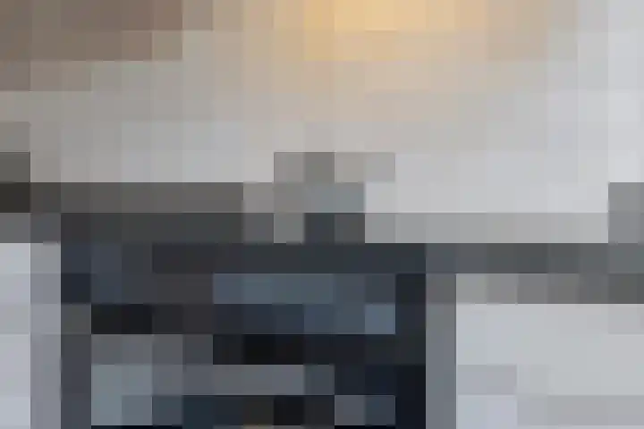 Lisdodde 8 Venray thumbnail 19