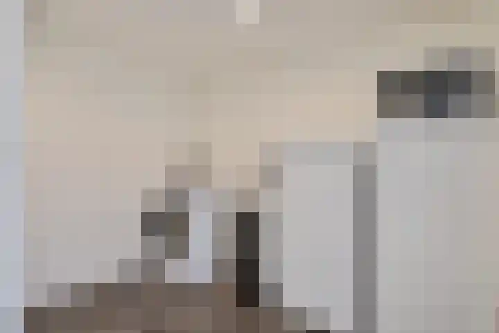 Lisdodde 8 Venray thumbnail 22