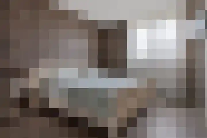 Lisdodde 8 Venray thumbnail 26