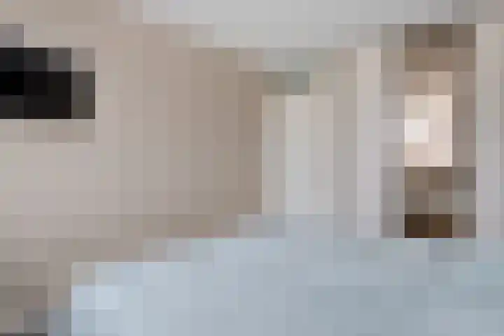 Lisdodde 8 Venray thumbnail 27