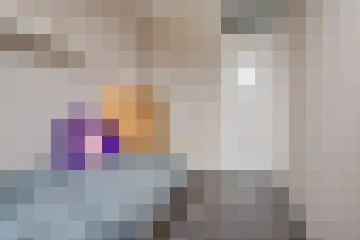 Lisdodde 8 Venray thumbnail 29