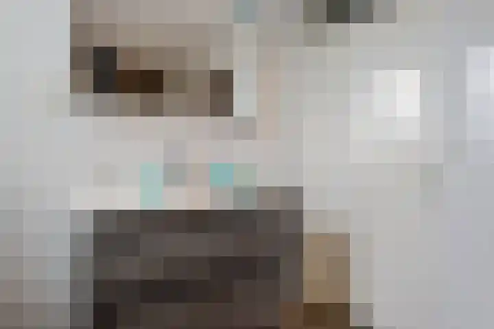 Lisdodde 8 Venray thumbnail 32