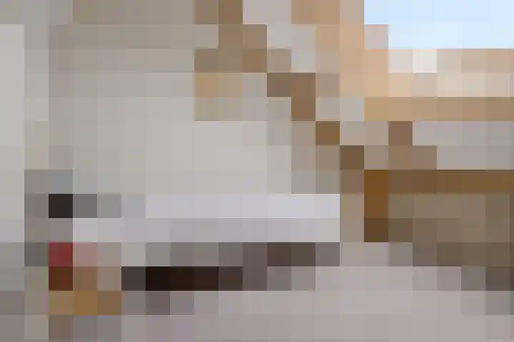 Lisdodde 8 Venray thumbnail 37