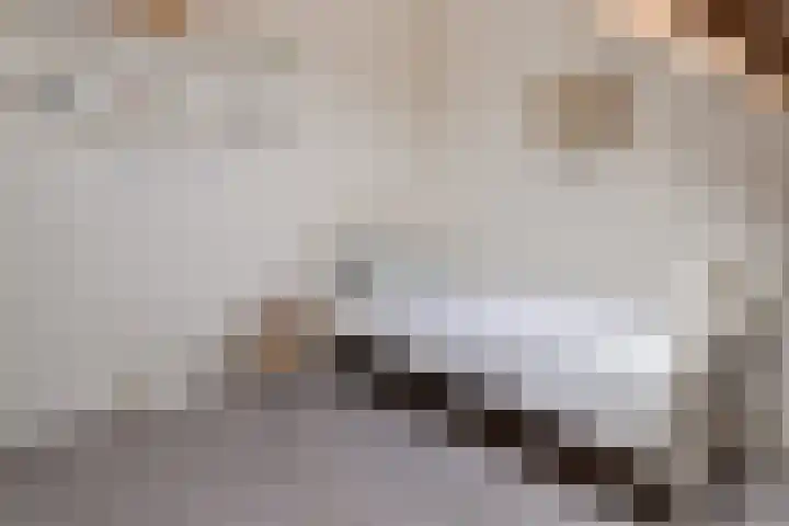 Lisdodde 8 Venray thumbnail 38