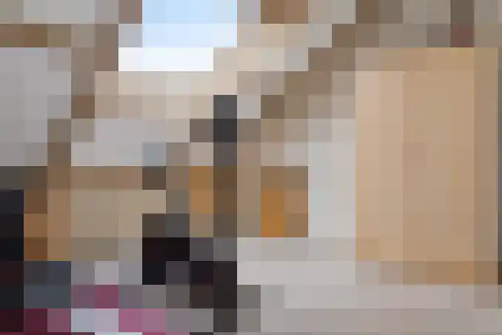Lisdodde 8 Venray thumbnail 40
