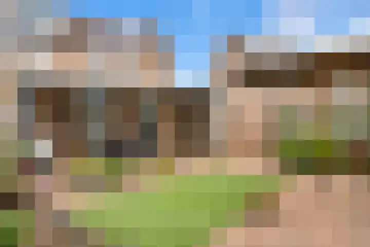 Lisdodde 8 Venray thumbnail 42
