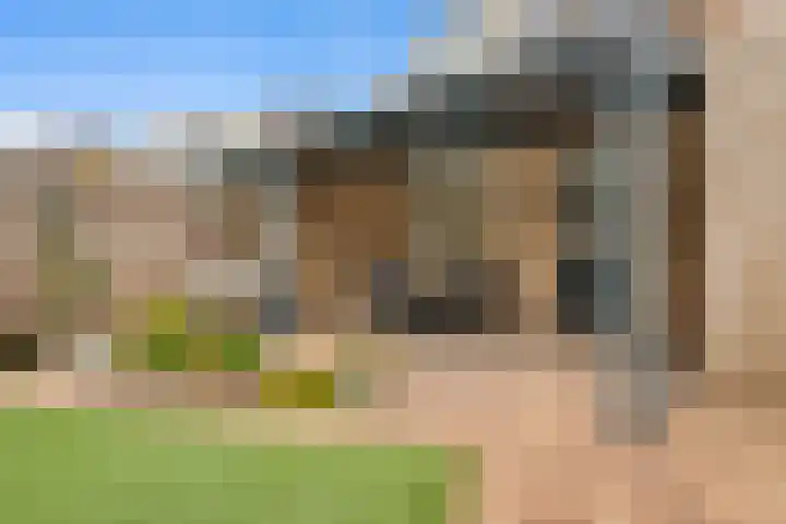 Lisdodde 8 Venray thumbnail 43