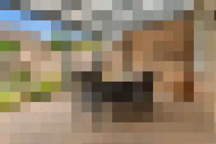 Lisdodde 8 Venray thumbnail 44