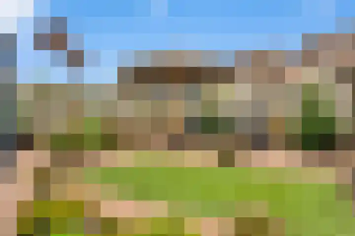 Lisdodde 8 Venray thumbnail 45