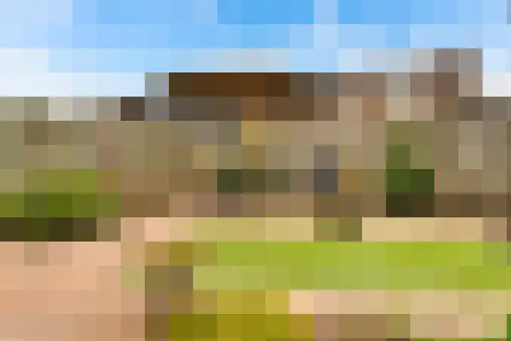 Lisdodde 8 Venray thumbnail 46