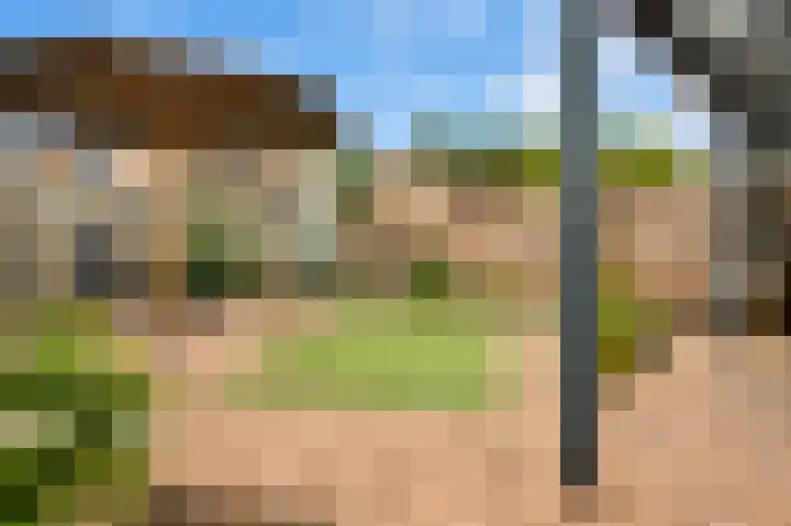 Lisdodde 8 Venray thumbnail 47