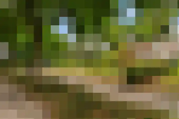 Lisdodde 8 Venray thumbnail 49