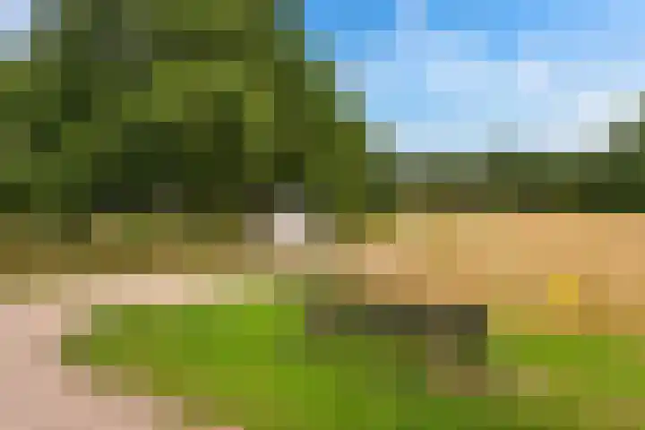 Lisdodde 8 Venray thumbnail 50