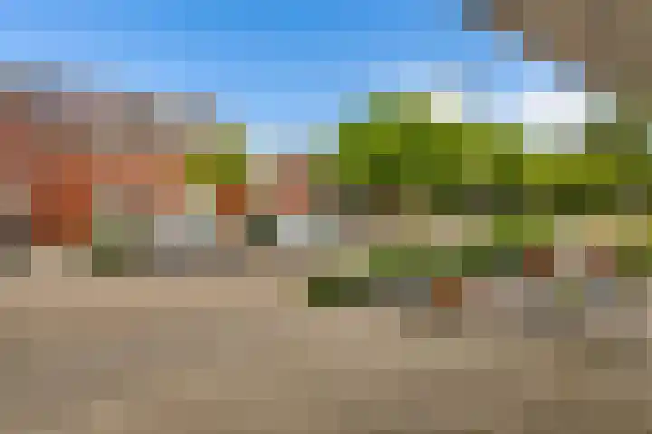 Lisdodde 8 Venray thumbnail 51