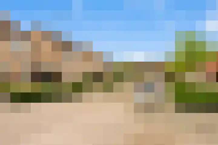 Lisdodde 8 Venray thumbnail 52