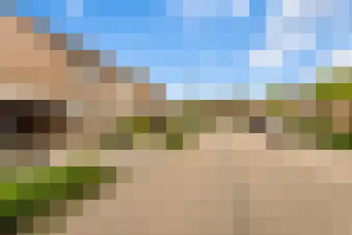 Lisdodde 8 Venray thumbnail 53
