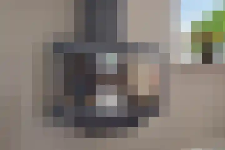 Lisdodde 8 Venray thumbnail 9